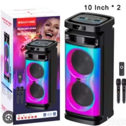 Party Box Speaker veliki zvucnik 2x10"
