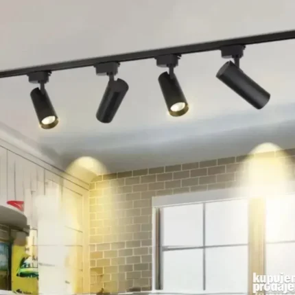 LED sinska rasveta - Crni sinski reflektor 30W osvetljenje